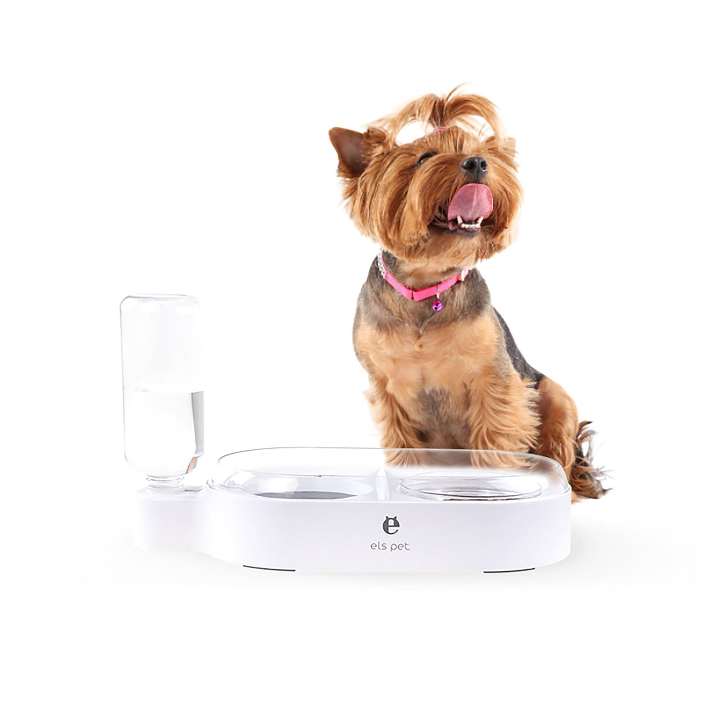 Pet Feeder 2-in-1 drinking and food bowl with splash - starcopia design store