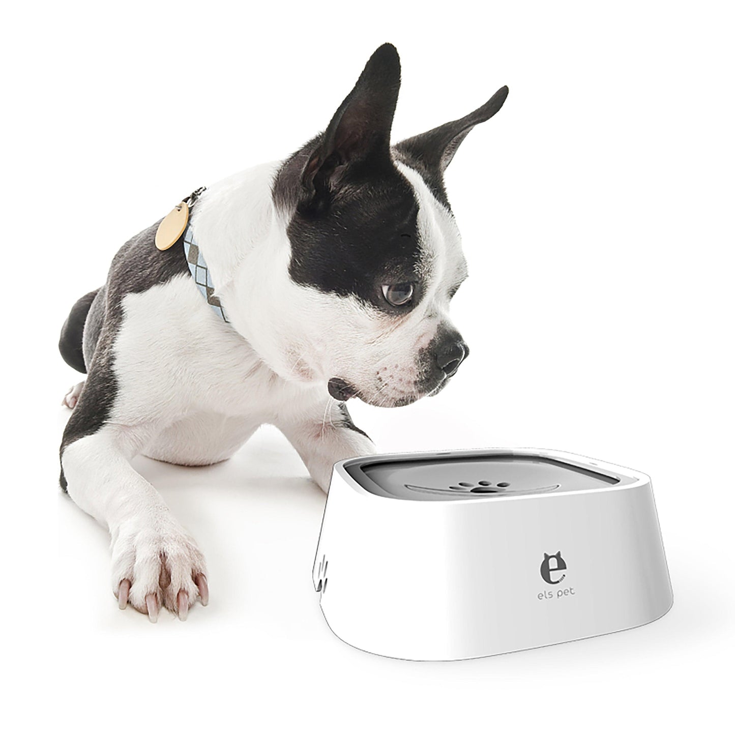 Spill Proof Pet Water Bowl - starcopia design store