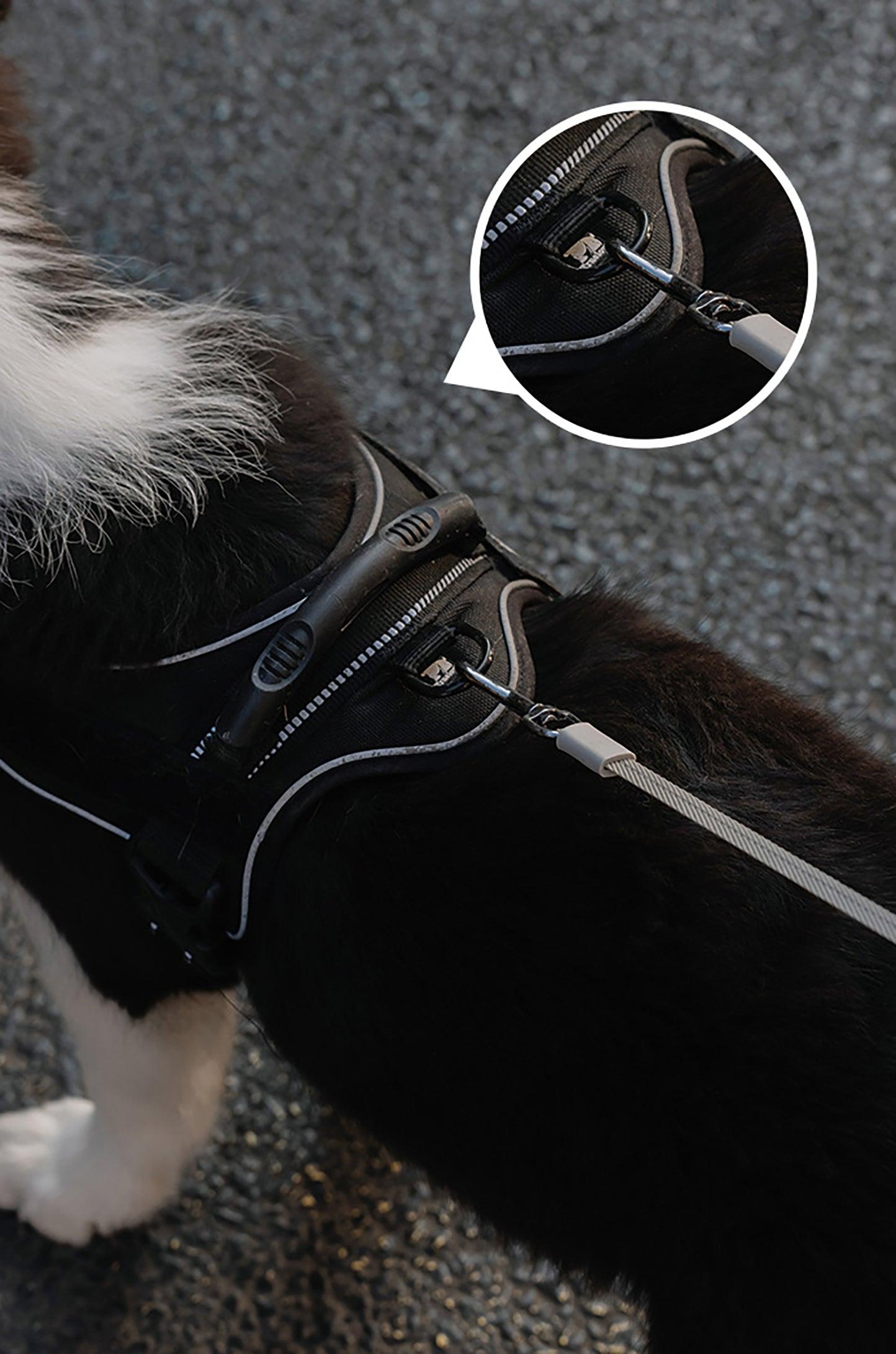 Automatic Lighting Retractable Pet Leash - starcopia design store