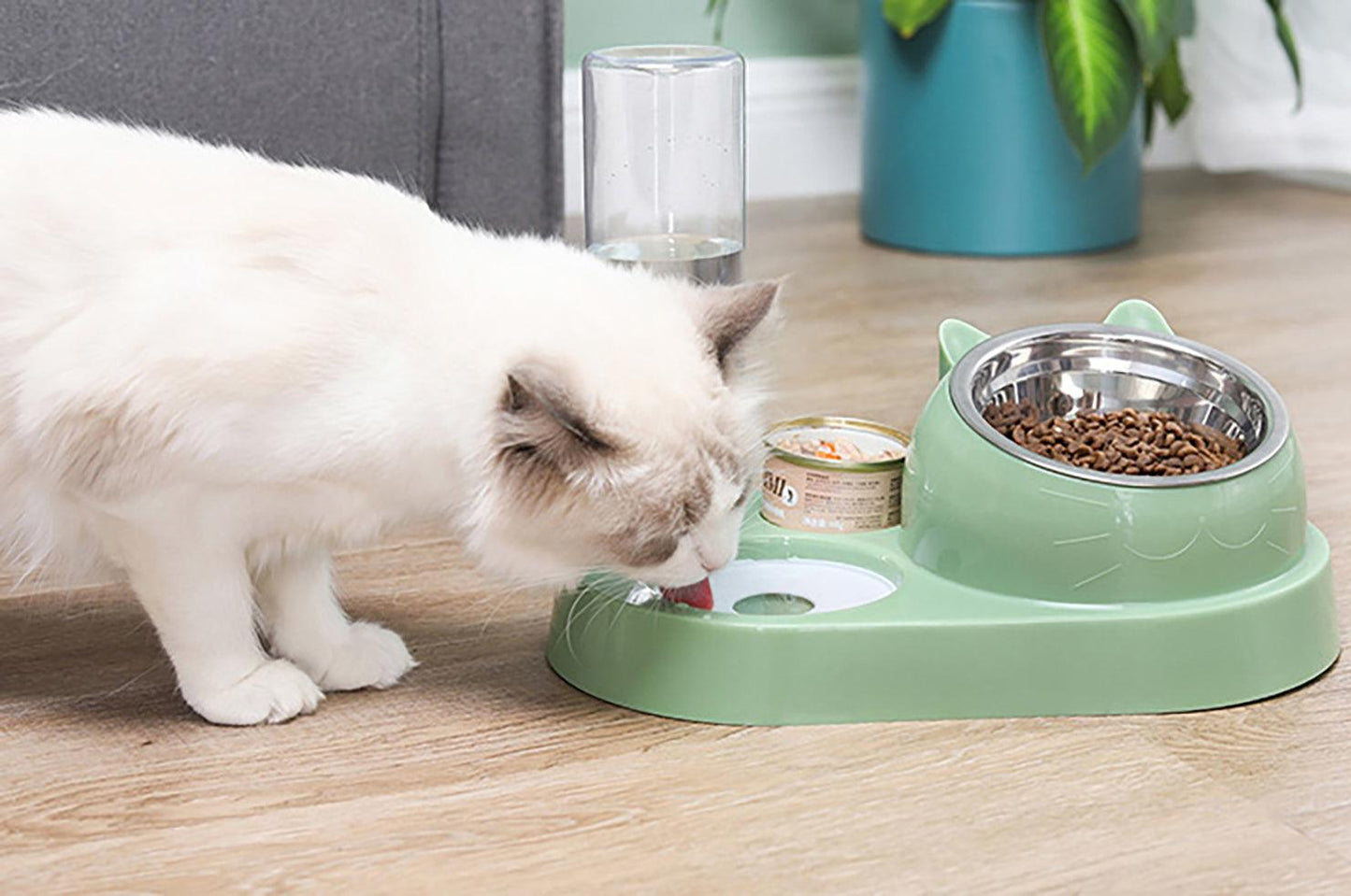 Pet 2 in 1 Feeder and Drinker - starcopia design store